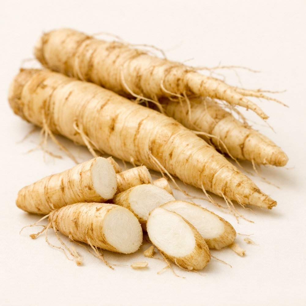 더덕(Adenophora triphylla var. japonica (Regel) H.Hara) 실물 이미지