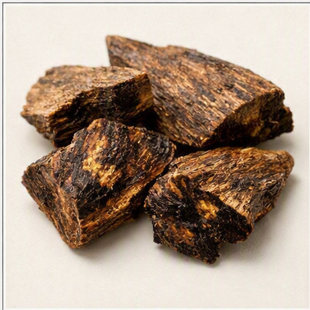 침향(Aquilaria agallocha Roxb.) 실물 이미지
