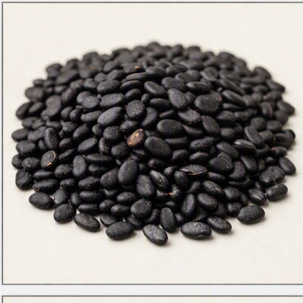 Photograph of Sesamum indicum L. (Black Sesame)