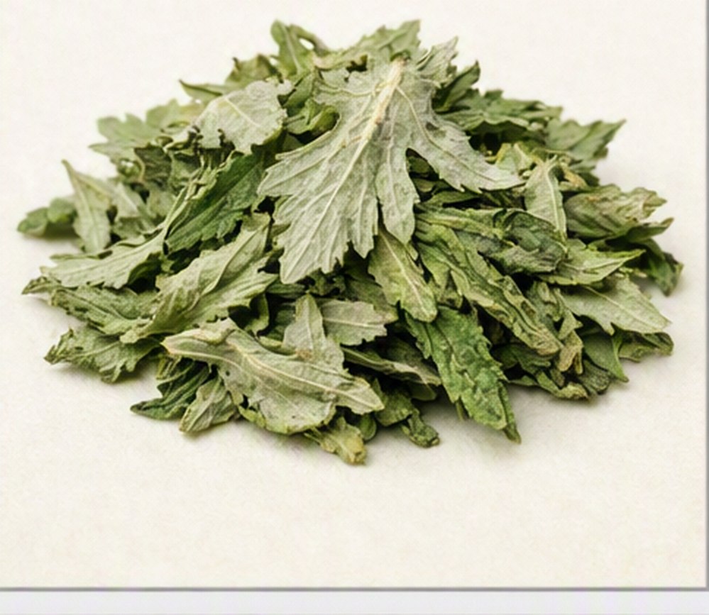 쑥(애엽)(Artemisia argyi H.Lév. & Vaniot) 실물 이미지